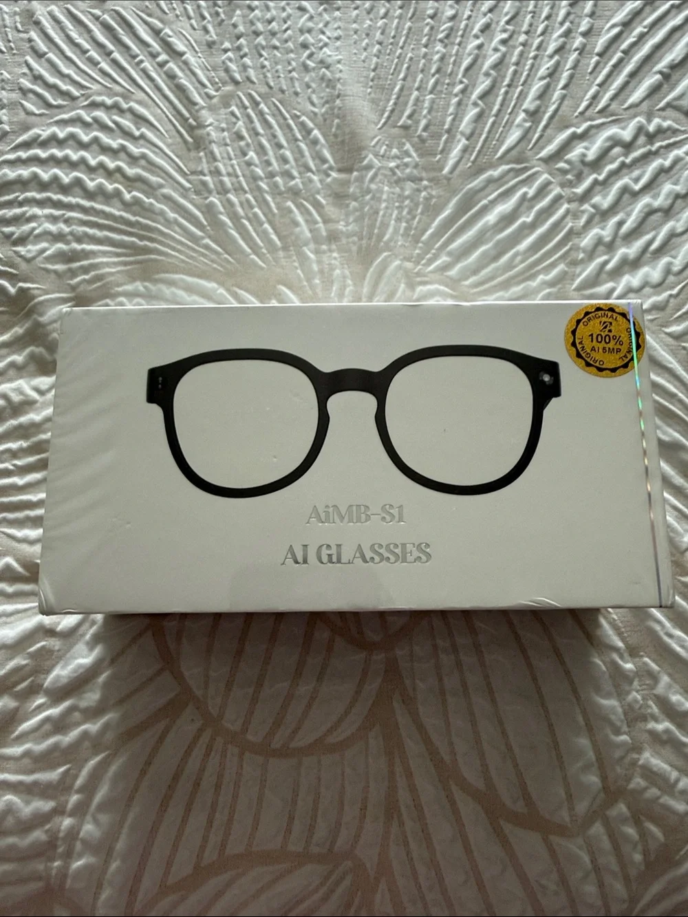 AI Glasses